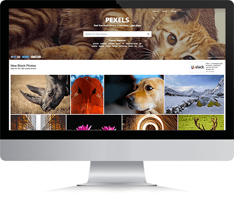 pexels-site-royalty-free-onigrama-apresentacoes